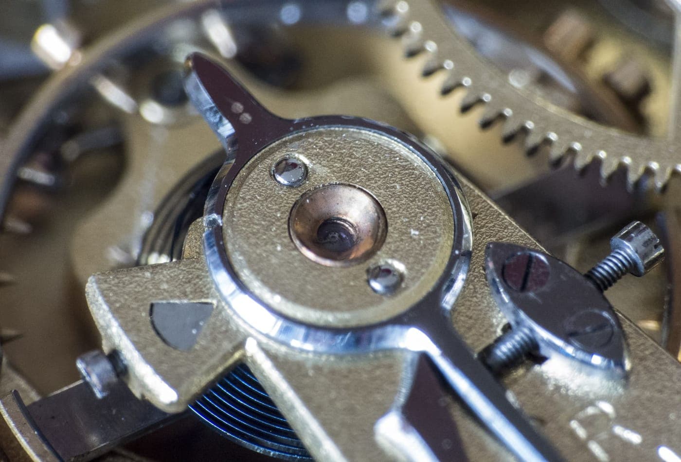 Macro detail of a mechanical watch movement — the gears and jewels we read the specs on